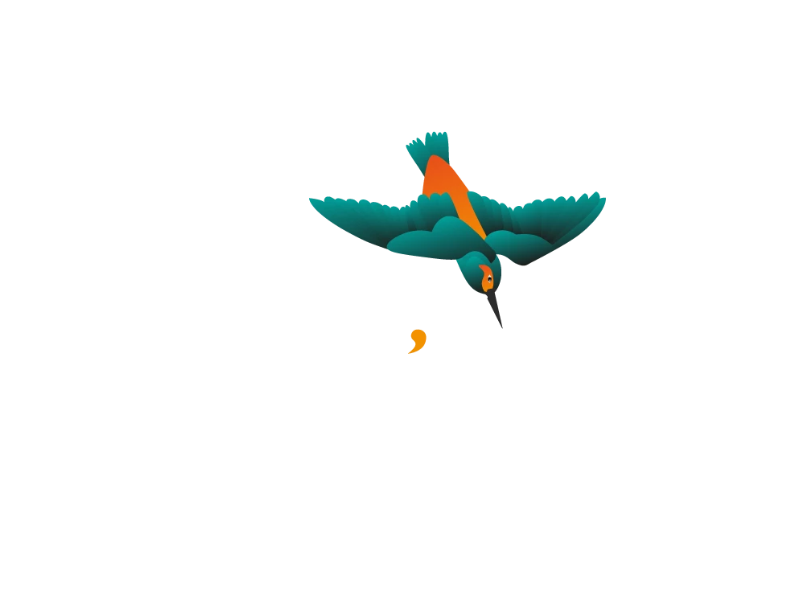 Logo Ouest Pro