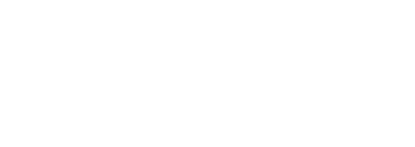 Webdesign29 Logo